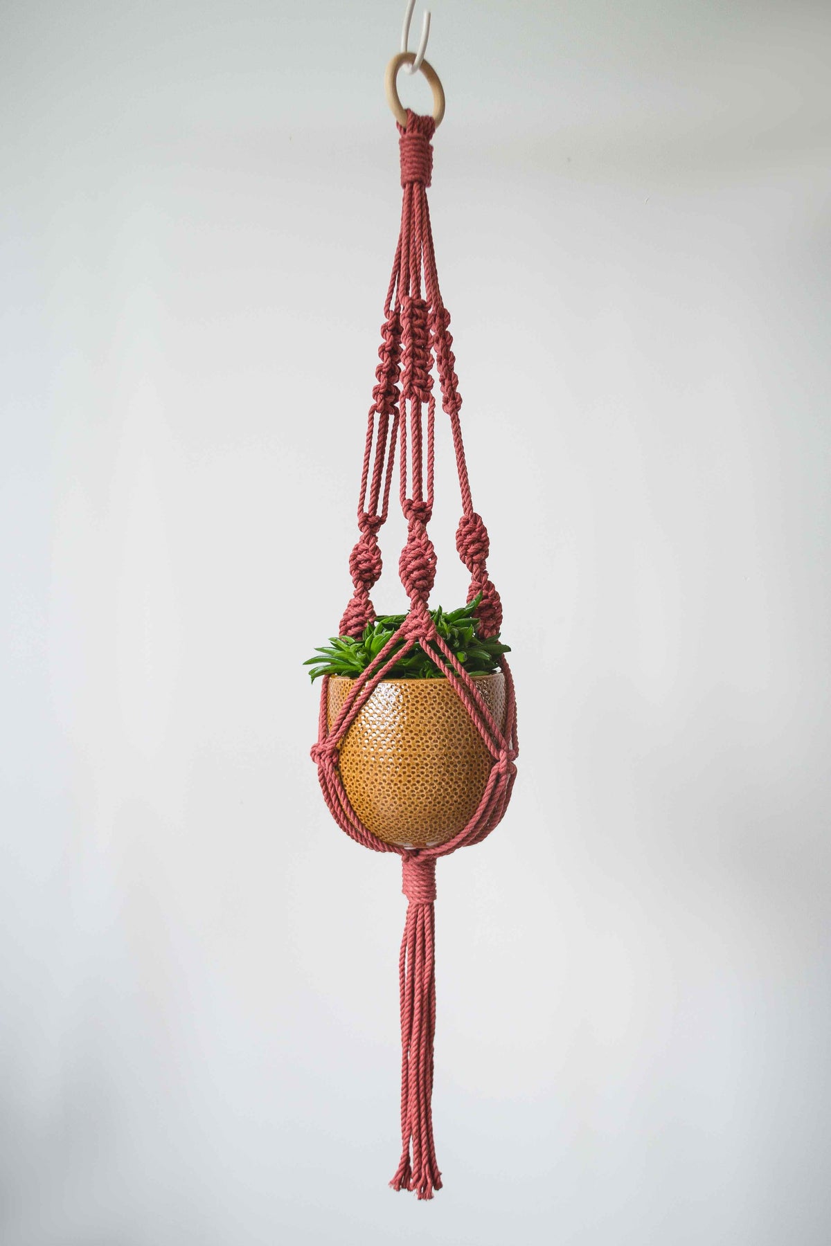 Knotted Macrame Plant Hanger - 40&quot; (100cm) in Length by